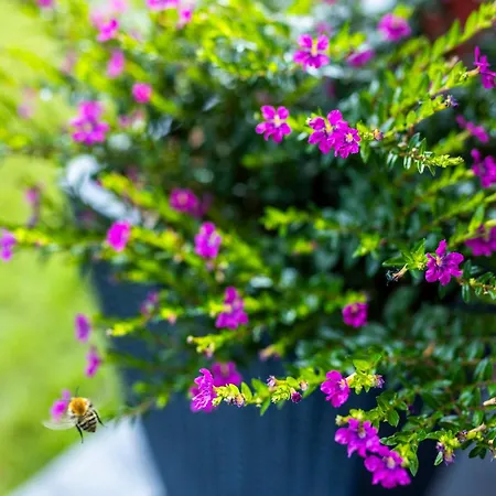 Ruhige Auszeit Im Rotkehlchen Holiday home
